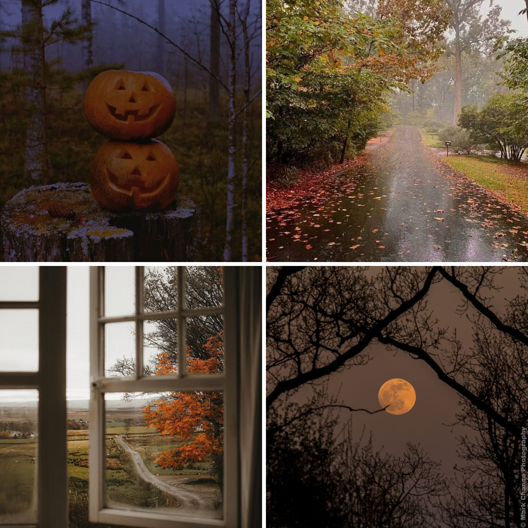 Womenmart Autumn Nights Candle view 2