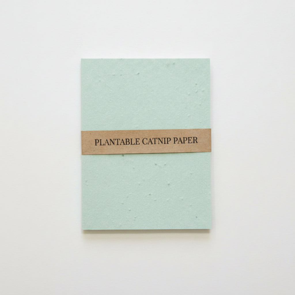 Womenmart Mini Catnip Plantable Paper Notebook