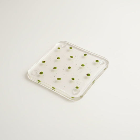 Womenmart Olives Glass Coaster Clear
