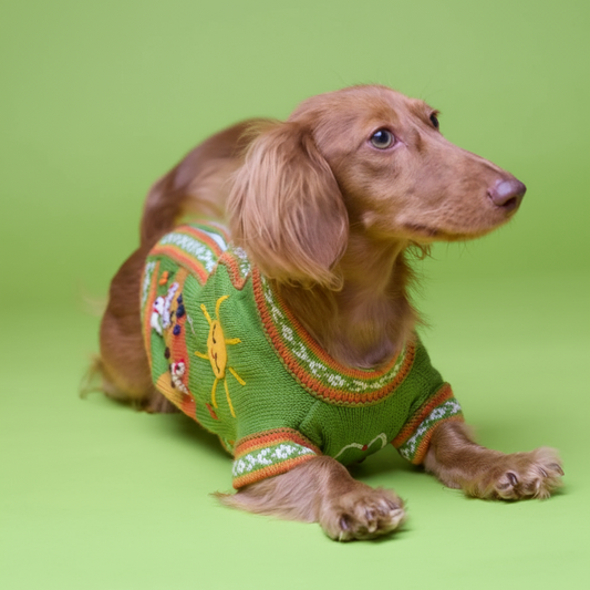 Womenmart The Mia Sweater in Pear