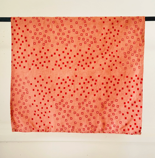 Womenmart Hand Printed Napkin Red Snippets