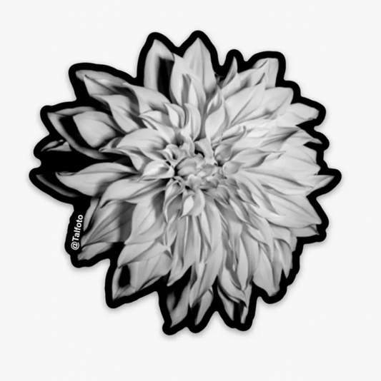Womenmart Black and White Dahlia Sticker