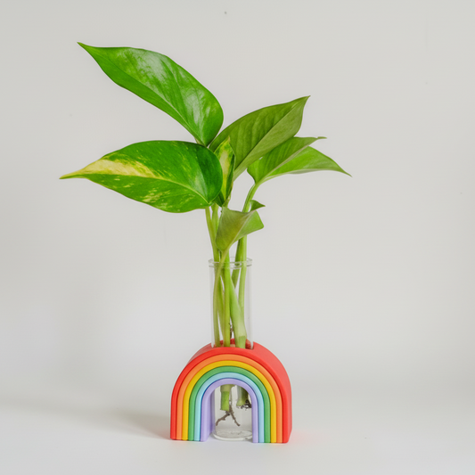 Womenmart Rainbow Propagation Vase
