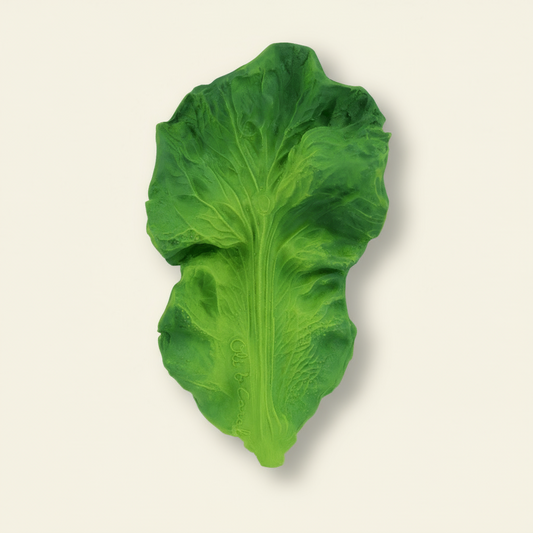 Womenmart Kendall the Kale Teether Toy