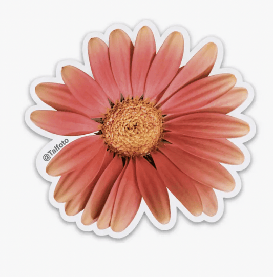 Womenmart Orange Gerber Daisy Sticker