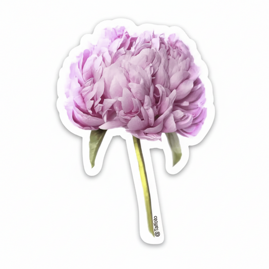Womenmart Pink Peony Sticker